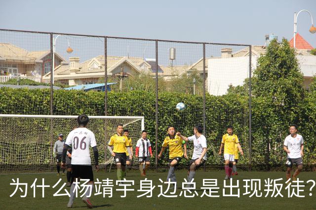 为什么杨靖宇身边总是出现叛徒?其实这一现象背后只有两个原因而已
