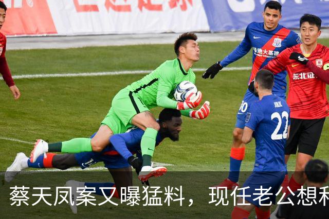 蔡天凤案又曝猛料,现任老公想和前夫发生关系,并承认500万输光